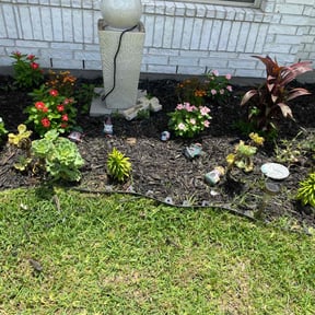 Weeding by Texas Best Lawn and Farm reviewed on October 18, 2022
