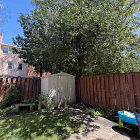 Leaf Removal by Essential Landscaping reviewed on June 17, 2022