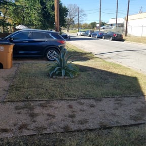 Leaf Removal by Candanoza Lawn Service reviewed on April 24, 2025
