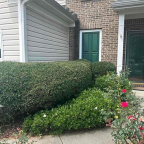 Bush Trimming by Twelve oaks lawn service reviewed on June 29, 2025