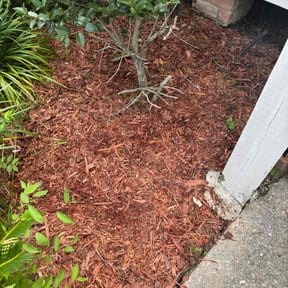 Flower Bed Weeding by Whitt Property Services reviewed on June 9, 2023