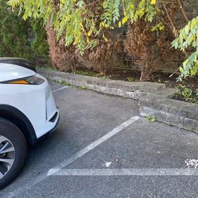 Leaf Removal by All Seasons Landscape & Hauling reviewed on May 14, 2022