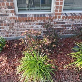 Flower Bed Weeding by 3 brothers landscaping reviewed on May 14, 2022