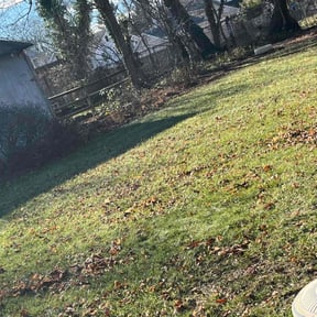 Leaf Removal by Sandoval Lawn Services reviewed on November 15, 2022
