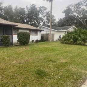 Bush Trimming by WhaleyScapes lawn services reviewed on June 15, 2022
