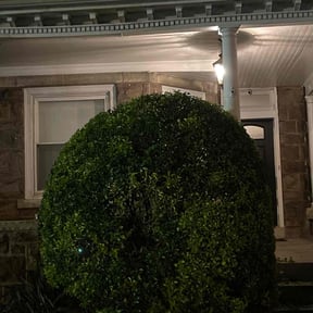 Bush Trimming by JUST-ON-POINT Lawn Care Service reviewed on February 18, 2022