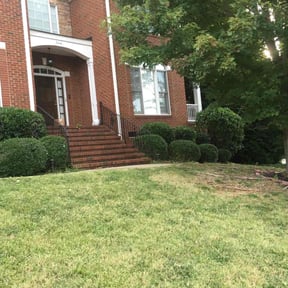 Bush Trimming by TONY'S LAWN CARE reviewed on September 27, 2021