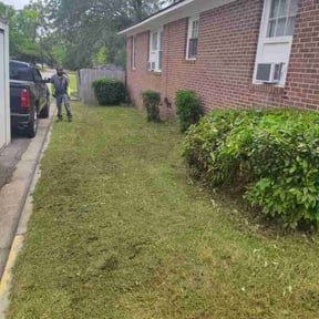 Bush Trimming by Kent Lawn Salon reviewed on June 6, 2022