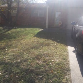 Leaf Removal by O'Shields Parks Mowing and Cleaning reviewed on May 28, 2025