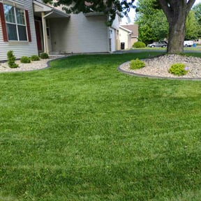 Weeding by K-McG&#039;S Outdoor solutions reviewed on October 30, 2024