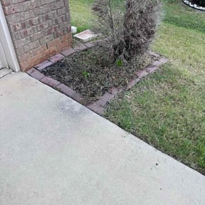 Weeding by RD Lawn Care L.L.C reviewed on September 2, 2020