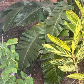 Leaf Removal by Ground Pro Maintenance, LLC. reviewed on September 14, 2021