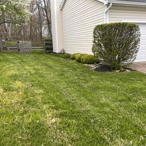 Bush Trimming by Grannies Mow&amp;Snow llc reviewed on August 9, 2022