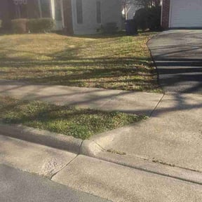 Leaf Removal by Felo pride lawn service reviewed on August 6, 2022