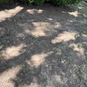 Leaf Removal by Mike's Mowing and Landscaping reviewed on January 12, 2022