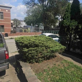 Bush Trimming by Hickmon Homes LLC reviewed on June 26, 2022