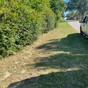 Bush Trimming by Owen Lawn Service reviewed on October 23, 2024