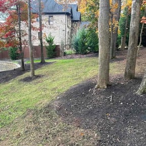 Cleanups by Down To Earth Landscaping reviewed on October 6, 2021