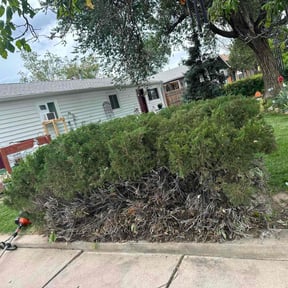 Bush Trimming by Steffen’s Lawncare Services reviewed on April 30, 2022