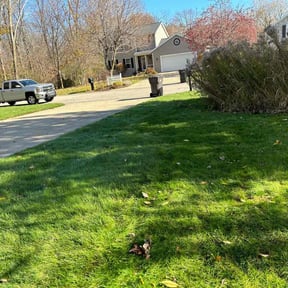 Leaf Removal by Mount Zion Landscaping and Maintenance reviewed on August 4, 2022