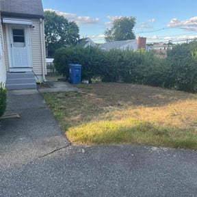 Leaf Removal by Whites property maintenance reviewed on May 25, 2022