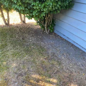 Leaf Removal by A-1 Affordable Lawn Care reviewed on May 6, 2022