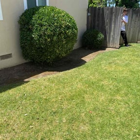 Bush Trimming by Hopper and sons landscaping LLC reviewed on August 25, 2024