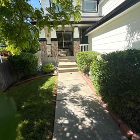 Bush Trimming by Glm landscaping reviewed on March 23, 2022