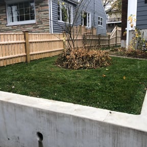 Leaf Removal by A Closer Look Residential Inspections LLC reviewed on June 17, 2021