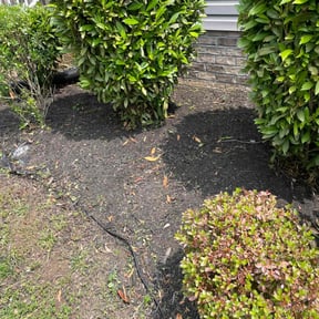 Flower Bed Weeding by Juana's Botanical Landscaping reviewed on February 26, 2024