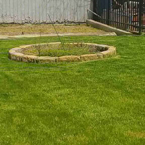 Bush Trimming by Luxury Finish Lawn care reviewed on June 15, 2022