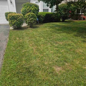 Bush Trimming by Affordable Lawncare Co. reviewed on December 15, 2024