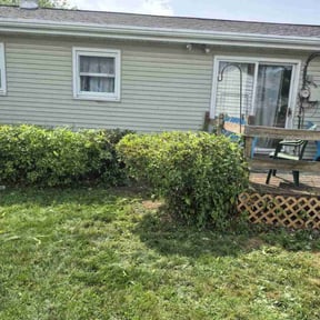 Bush Trimming by Smitty&#039;s Lawncare reviewed on July 21, 2025