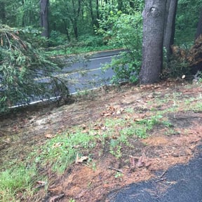 Leaf Removal by M&M lawn care reviewed on July 6, 2022