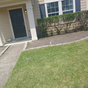 Bush Trimming by Paint by Ponch reviewed on July 19, 2021