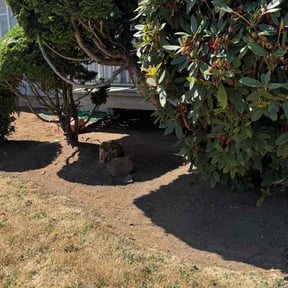 Flower Bed Weeding by A-Z Land Care reviewed on July 30, 2025