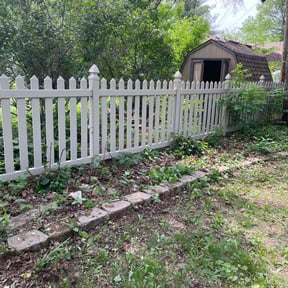 Bush Trimming by Schuetz Landscaping Services reviewed on June 7, 2022