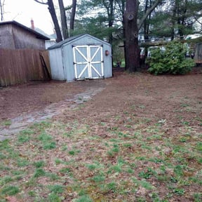 Leaf Removal by james lawn service reviewed on June 9, 2022