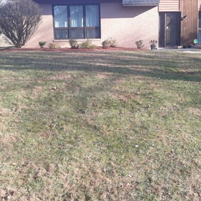 Leaf Removal by Jay Landscaping reviewed on April 25, 2022
