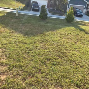 Weeding by Reil Lawn Company LLC reviewed on December 11, 2021