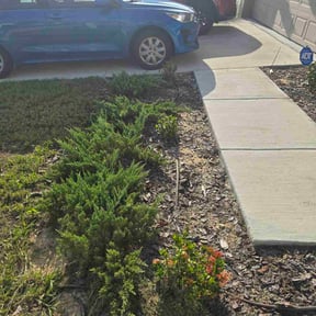 Flower Bed Weeding by Done Right Handyman Services LLC. reviewed on June 25, 2025