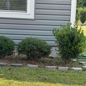 Flower Bed Weeding by TJ Lawn Care reviewed on August 7, 2025