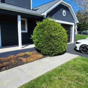 Leaf Removal by S & G Landscaping Inc reviewed on July 1, 2022