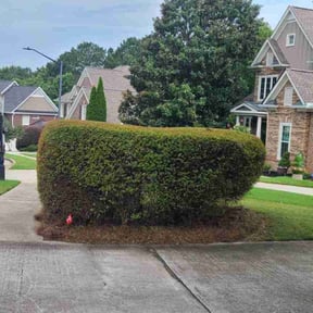 Bush Trimming by J’s Lawn Care reviewed on November 6, 2022