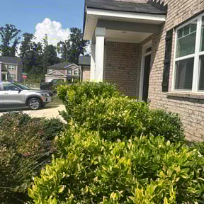 Bush Trimming by Craft's Lawn Care reviewed on July 13, 2022