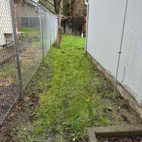 Cleanups by Professional landscapers reviewed on July 24, 2022