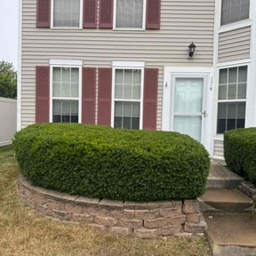 Bush Trimming by Amie's Clean Cut Lawns and More reviewed on June 14, 2022