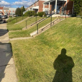 Bush Trimming by Elite Landscaping reviewed on April 6, 2025