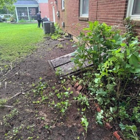 Leaf Removal by Mos Landscaping Service reviewed on June 28, 2022