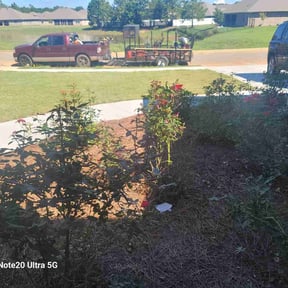 Bush Trimming by Sample Logistics Lawn Service reviewed on August 2, 2020